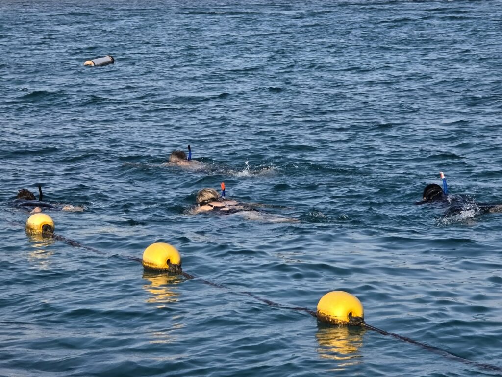 Snorkeling near Joseph's Rock